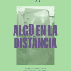 Coberta del llibre Algú en la distància de Dorothy Whipple